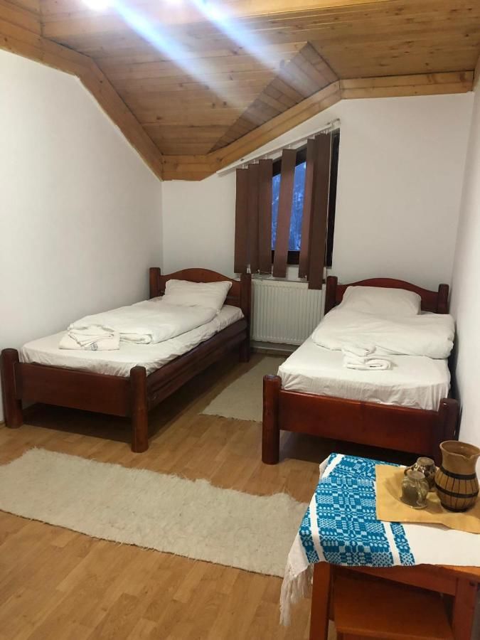 Отель Complex Turistic Alpina Blazna Sant Şanţ-16