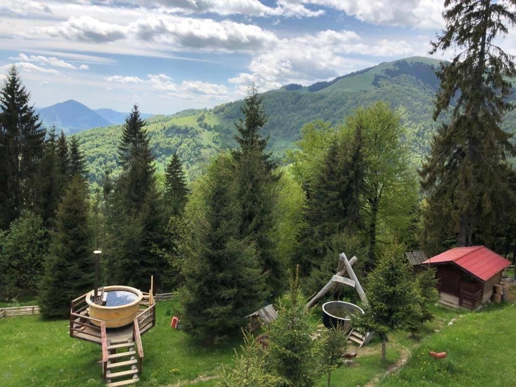 Отель Complex Turistic Alpina Blazna Sant Şanţ-7