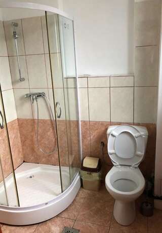 Отель Complex Turistic Alpina Blazna Sant Şanţ Трехместный номер с собственной ванной комнатой-2